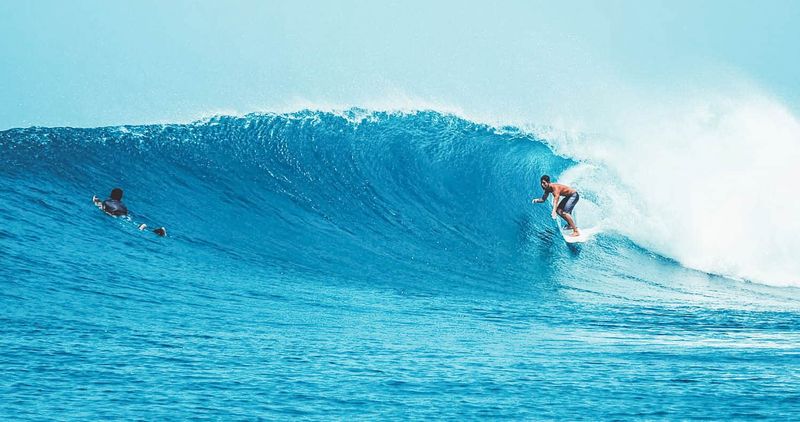 Surf in the Maldives