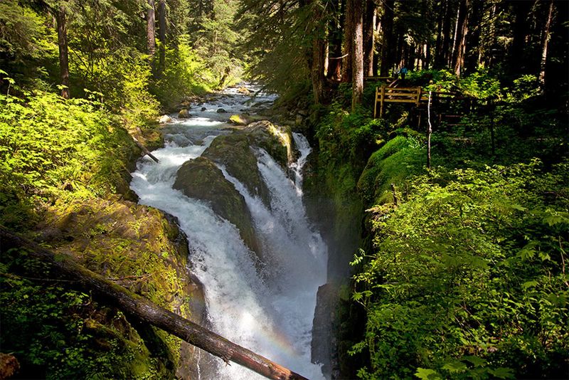 Solitude at Sol Duc Hot Springs