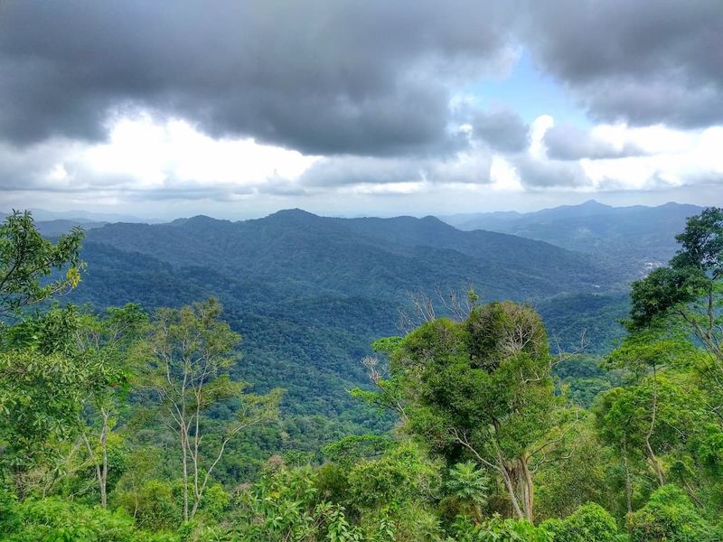 How To Experience It: Guided Hikes And Tours