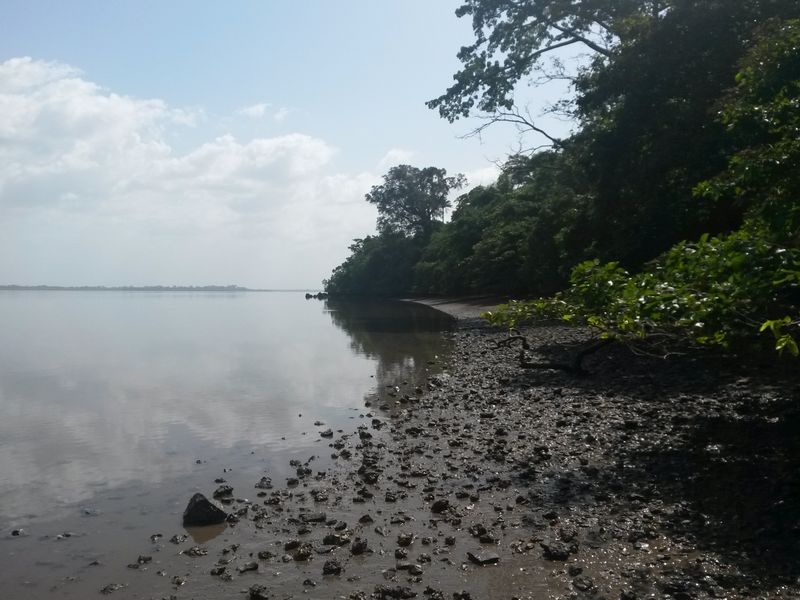 The Haunting Silence of Bunce Island’s Shores