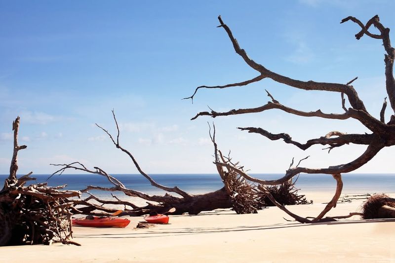 Big Talbot Island State Park
