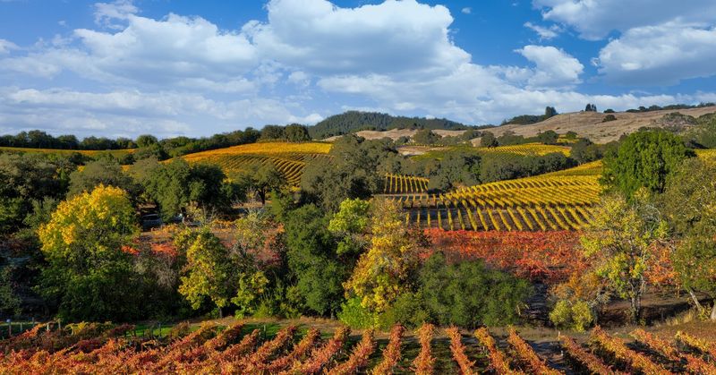 Sonoma County – California, USA