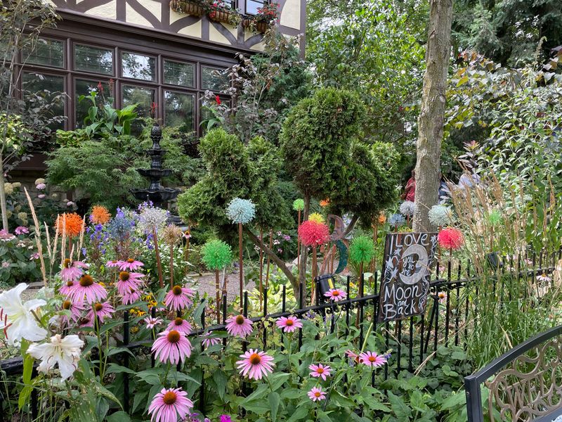 The Blooms of Buffalo