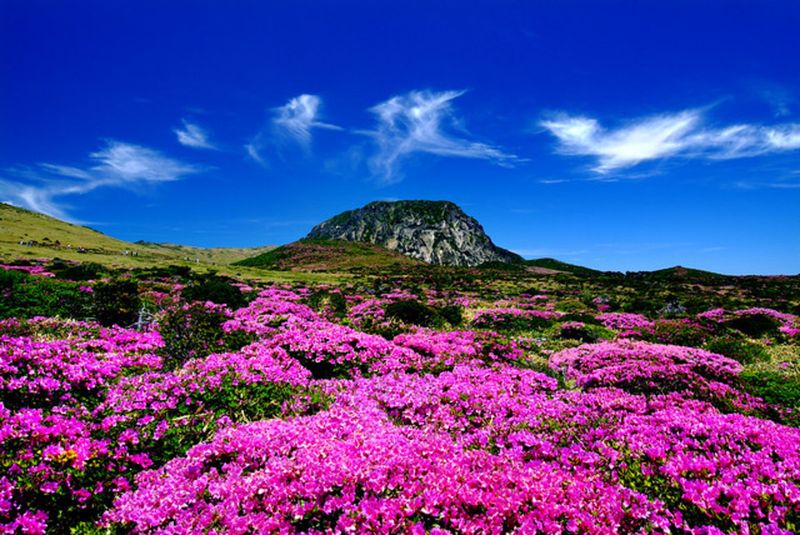 South Korea (Jeju, Busan)
