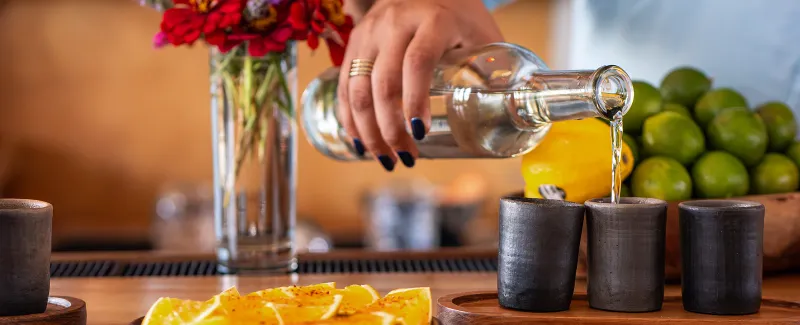 Exclusive Mezcal Tasting