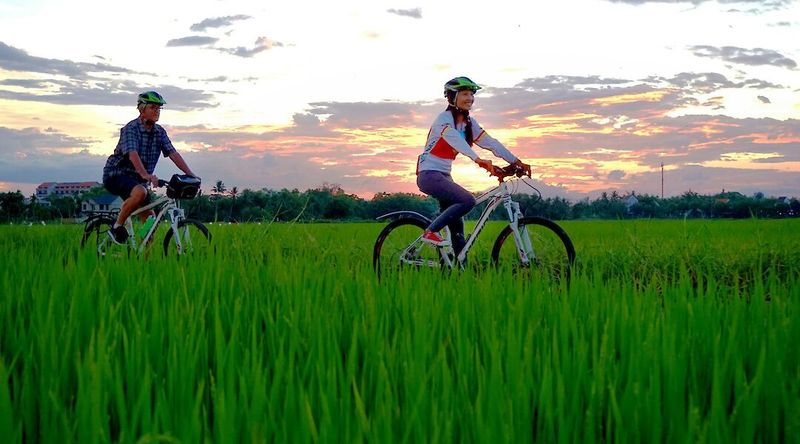 Bike Through Vietnam’s Rice Fields