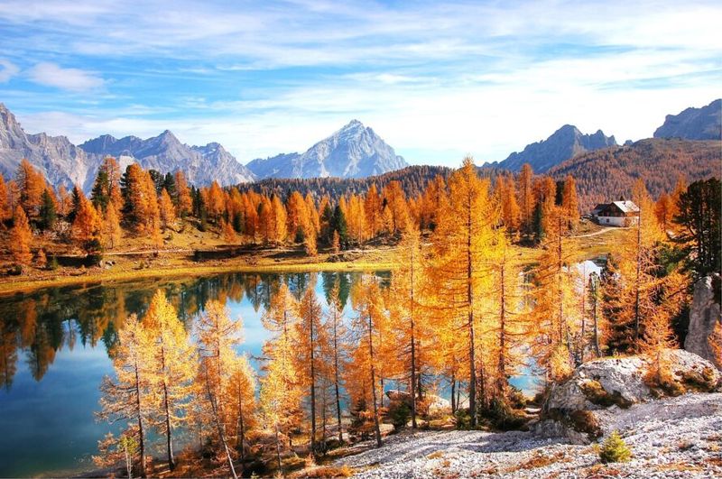 Visit in autumn for golden larches