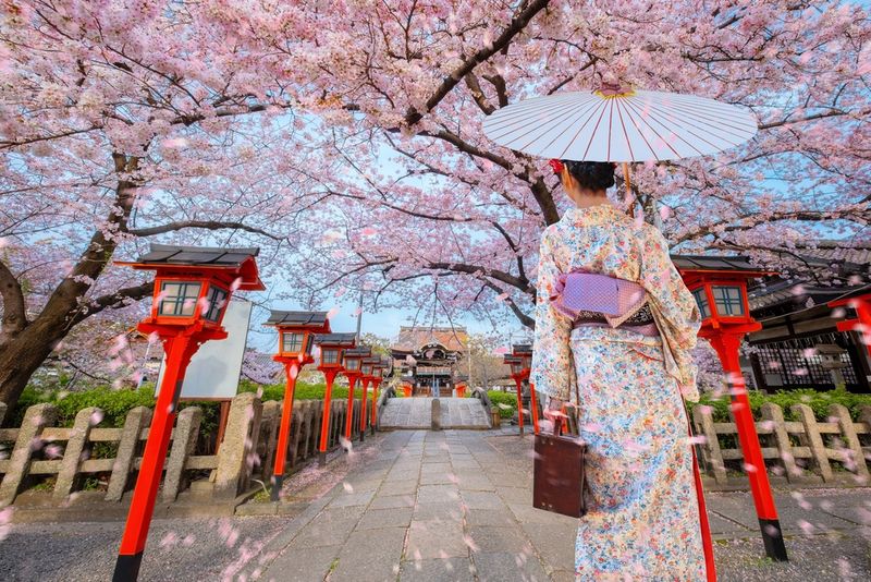 Tranquil Kyoto Gardens
