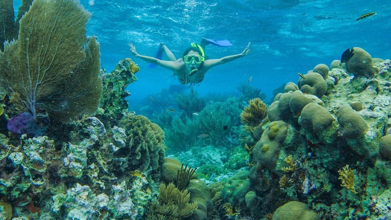 Barrier Reef Access (2nd Largest in the World!)