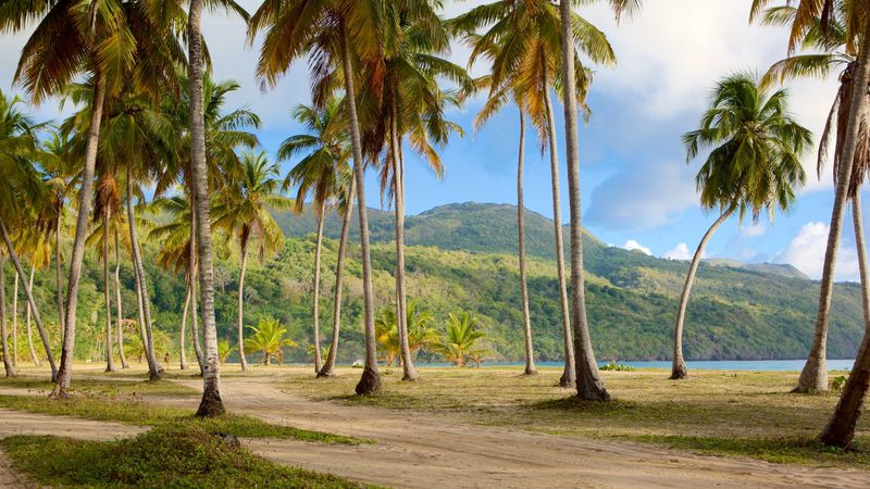 Las Galeras, Dominican Republic
