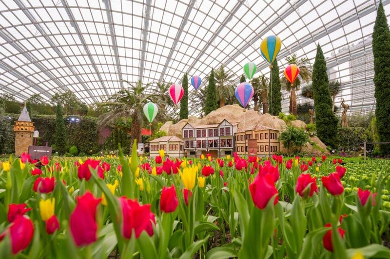 Botanical Bliss in Singapore