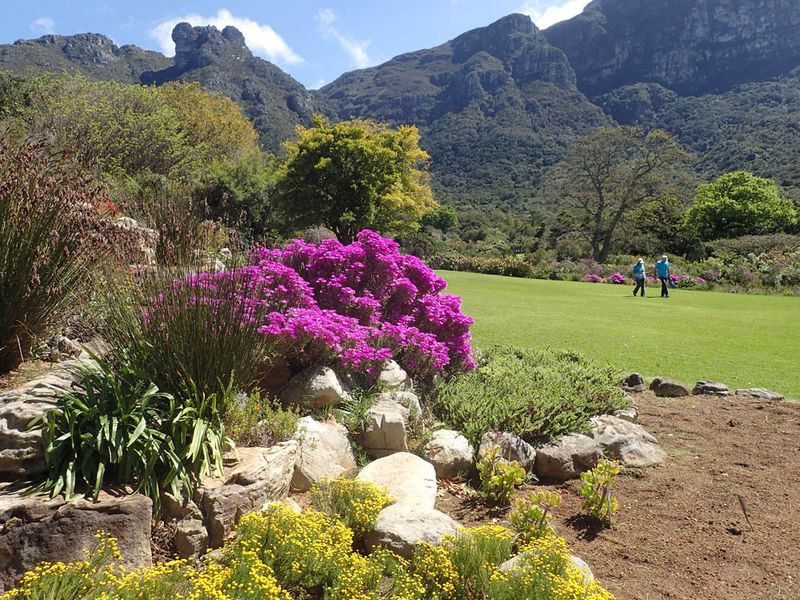 Kirstenbosch National Botanical Garden