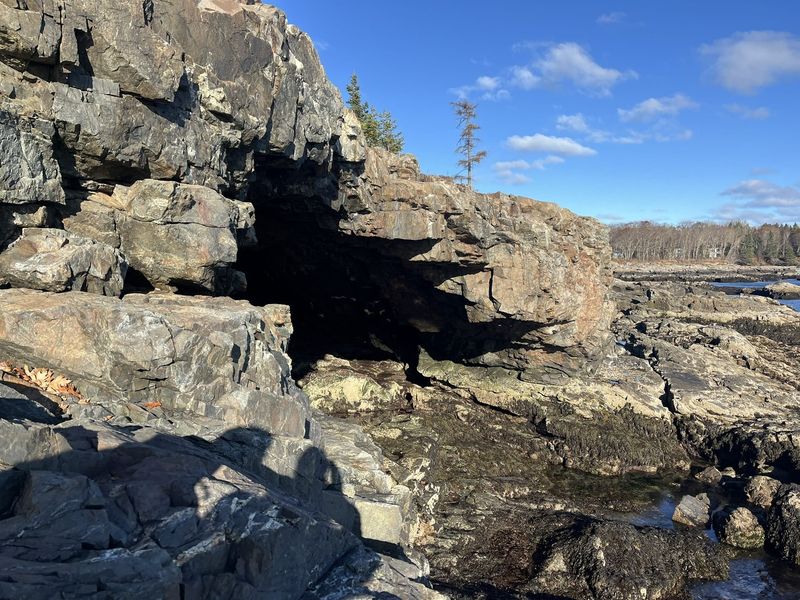The Mysterious Anemone Cave