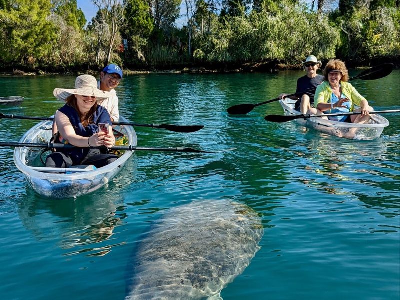 Paddling with Manatees in Crystal River, Florida