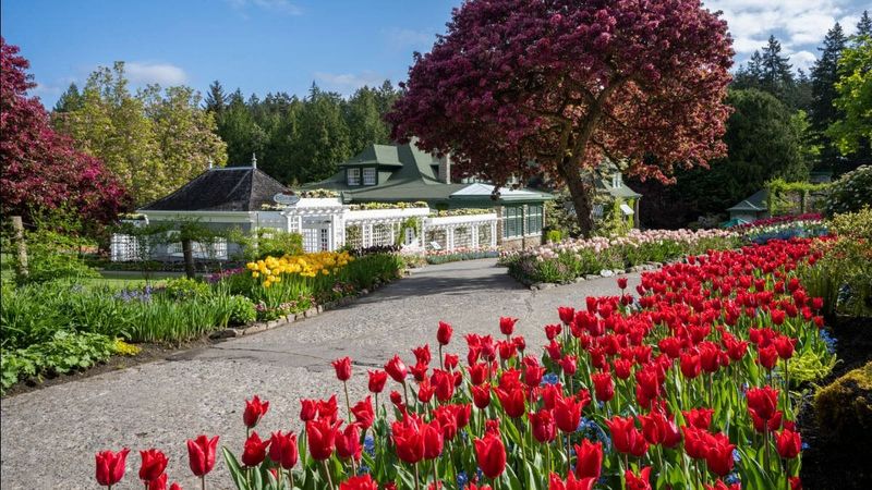 Butchart Gardens
