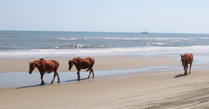 Outer Banks, North Carolina