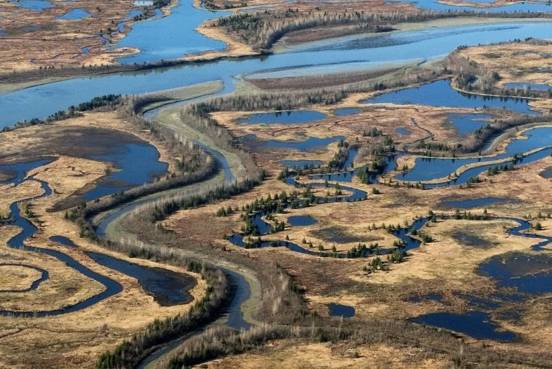 Copper River Delta