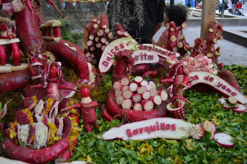 Night of the Radishes – Mexico