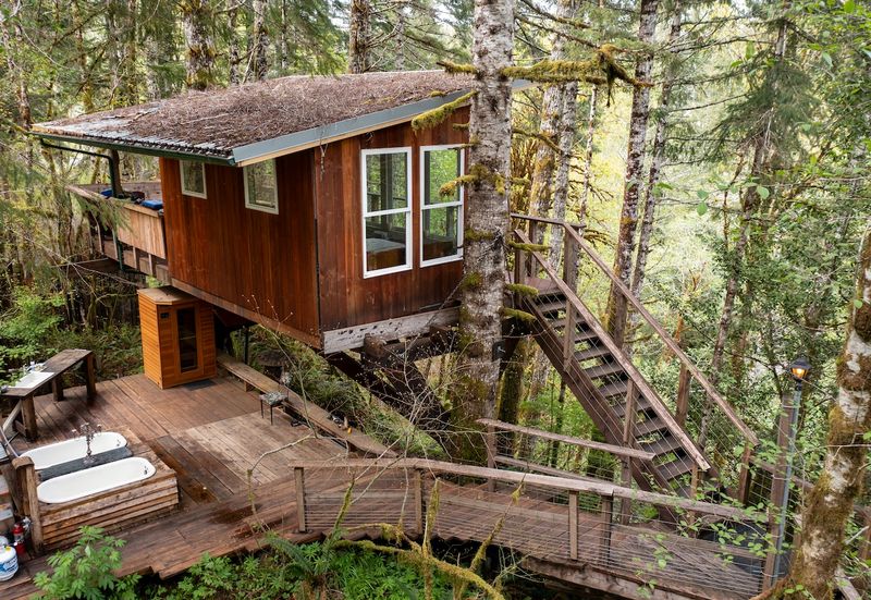 Oregon Forest Escape