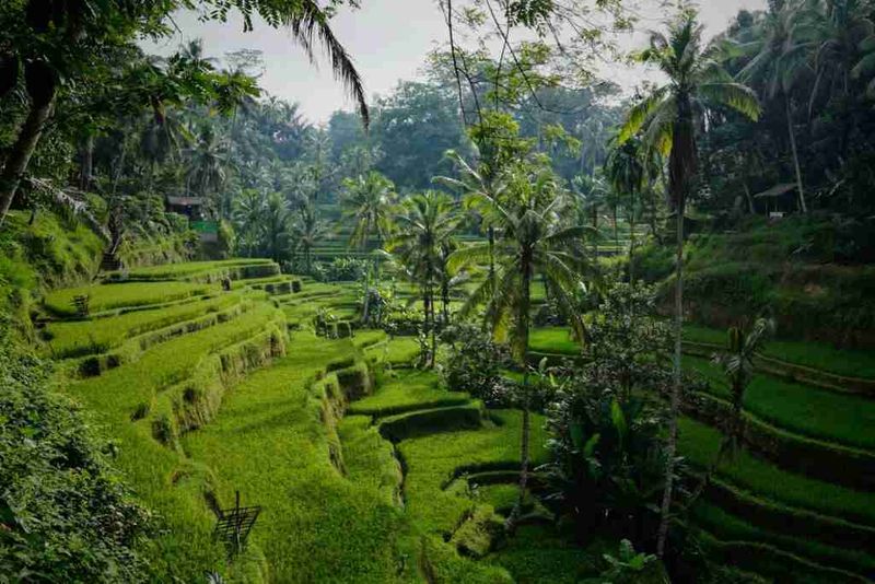 Explore Bali’s Hidden Gems