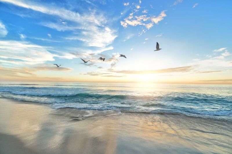 Gentle Ocean Waves Perfect for Wading