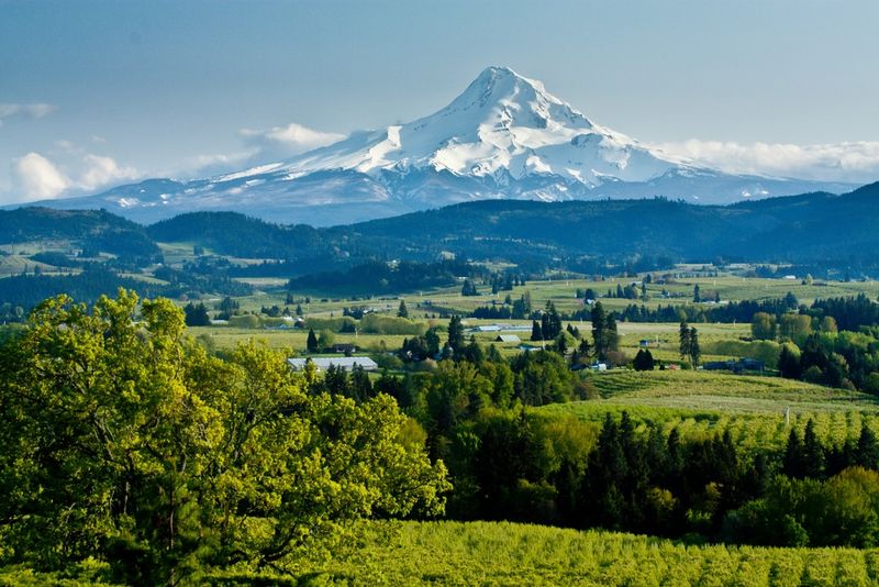 Willamette Valley – Oregon, USA