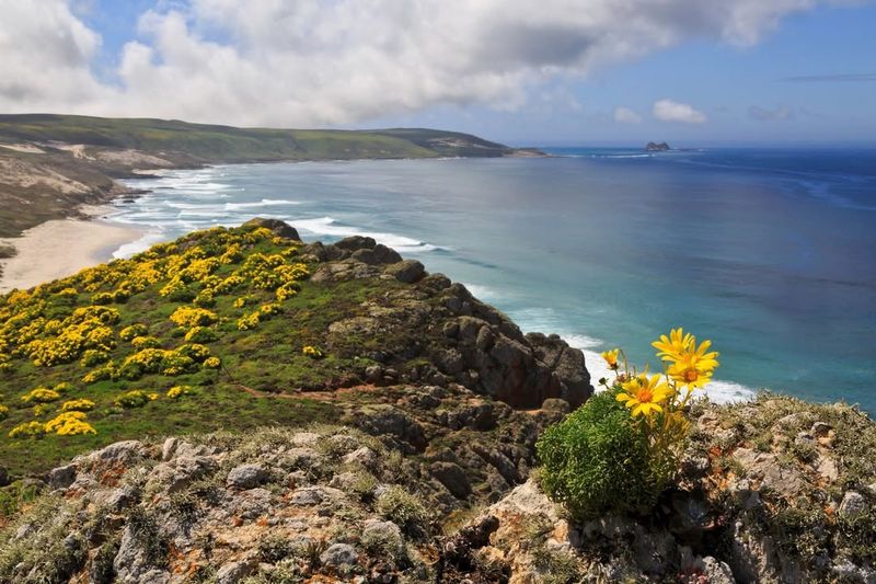 Channel Islands National Park, California