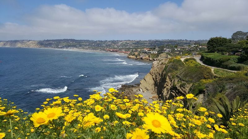 La Jolla Coast Walk Trail, California