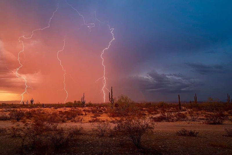 Experience monsoon season in the desert
