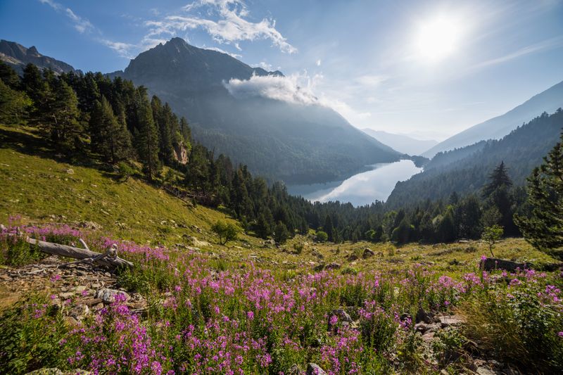 Aigüestortes i Estany de Sant Maurici, Spain