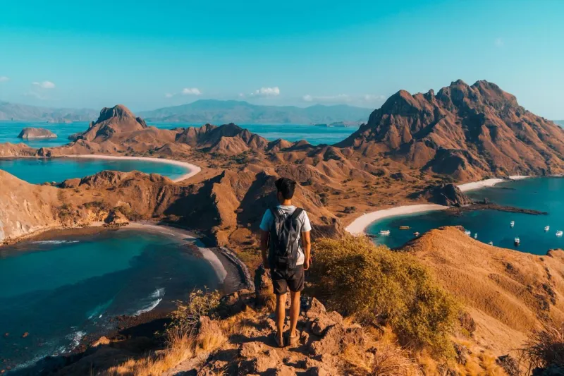 Komodo Dragon Trek in Indonesia
