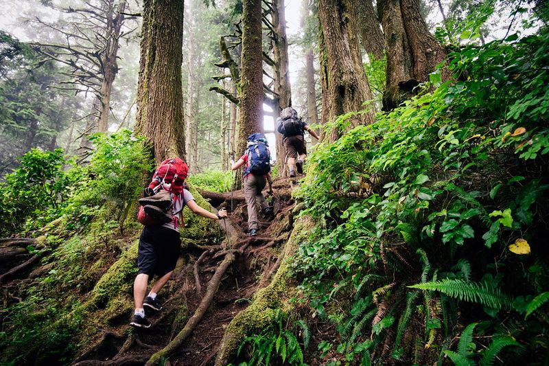 The West Coast Trail, British Columbia (Canada)