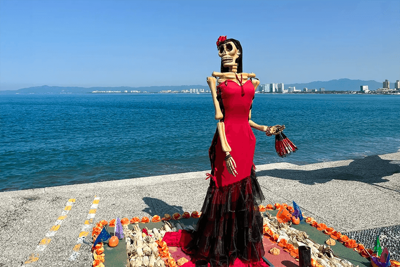 Adventure in Puerto Vallarta