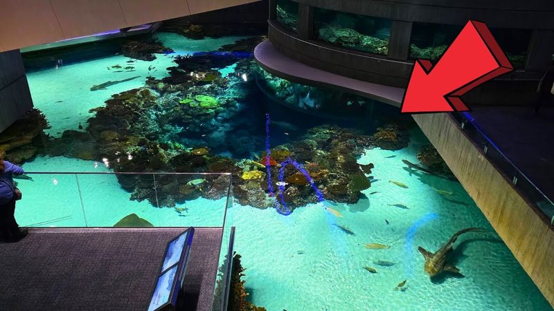 National Aquarium