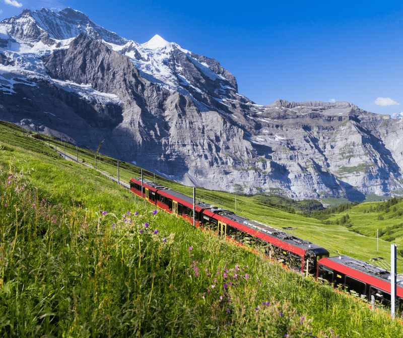 Alpine Meadows on Voralpen