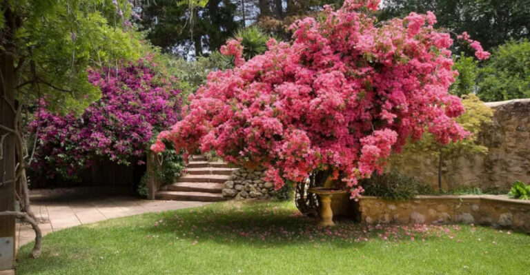 Secret Spring Bloom: 14 Garden Tours & Flower Shows Worth Flying to This May
