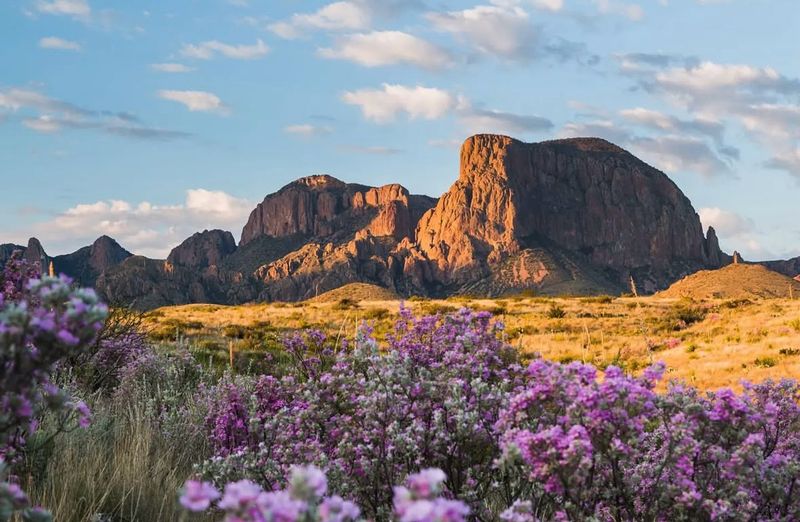 Big Bend National Park, Texas