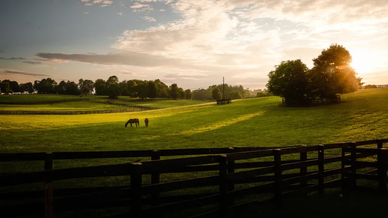 Bourbon Trail