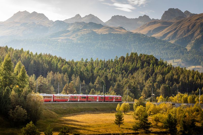 Alpine Forests on InterCity