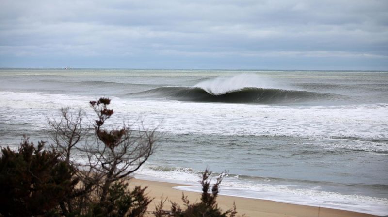 Soothing Sounds of Crashing Waves