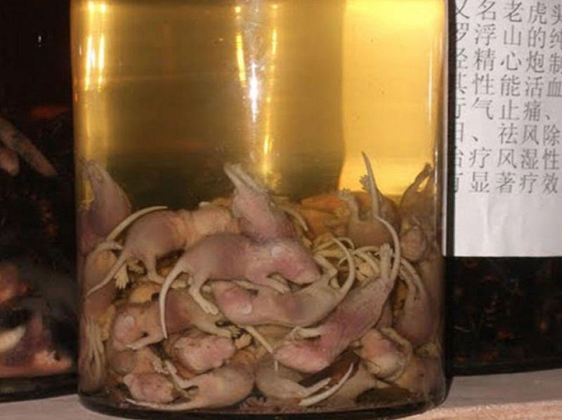 Baby Mice Wine – China