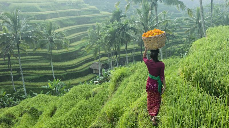 Ubud (Outskirts) – Bali, Indonesia