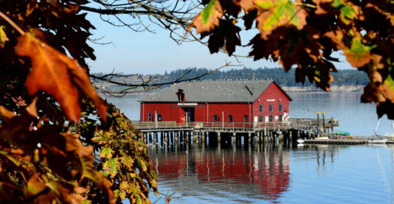 The 13 Best U.S. Road Trips For Foodies (And What To Eat Along The Way)