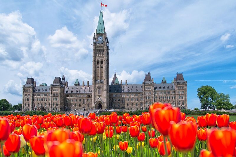 Tulip Time in Ottawa
