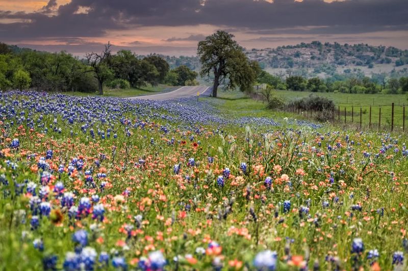 Hill Country Escape – Austin To Fredericksburg, Texas