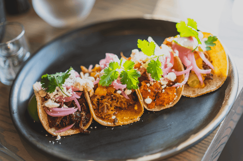 Taco Tasting Adventure