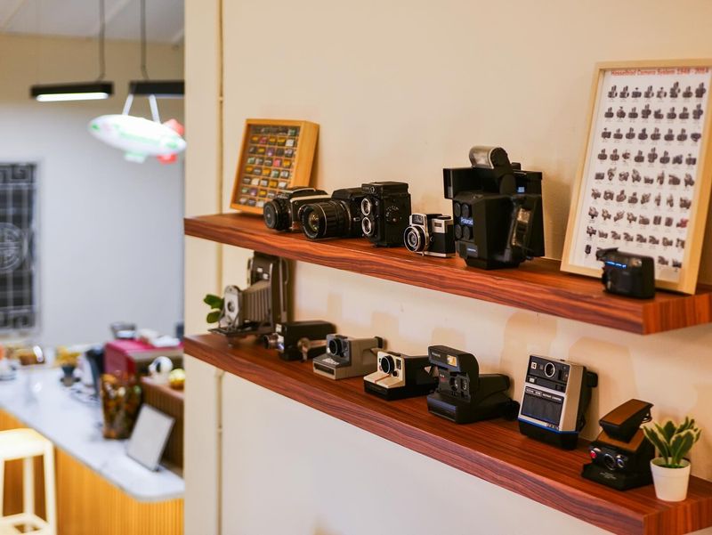 Display Antique Cameras And Travel Gadgets