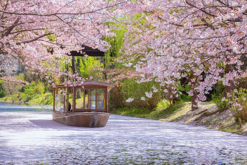 Japan (Tokyo, Kyoto)