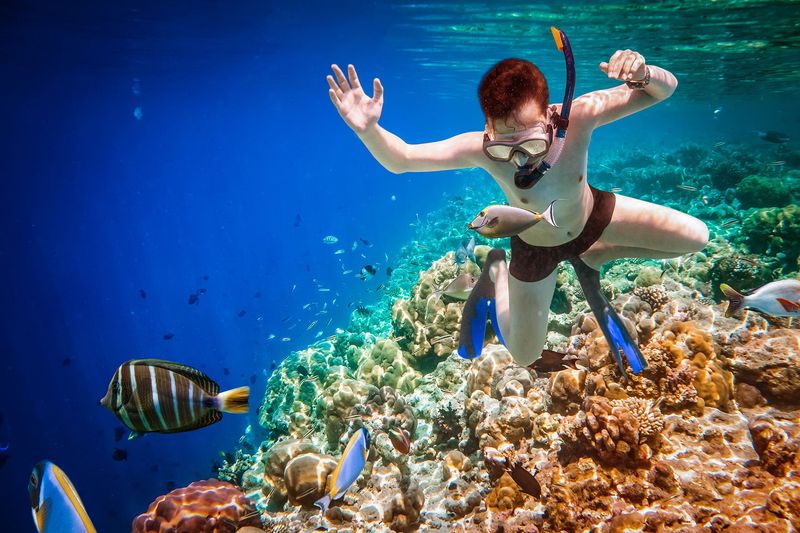 Snorkel in the Maldives