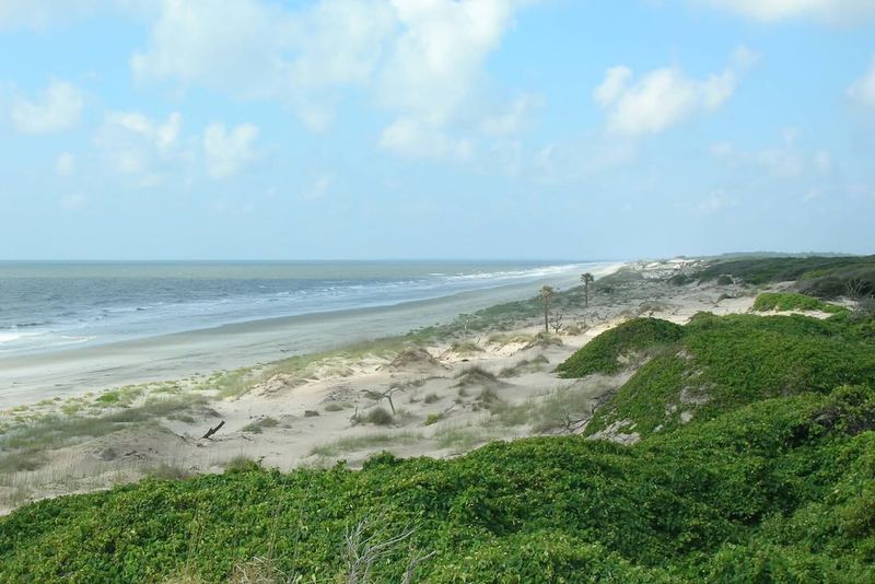 Cumberland Island National Seashore, Georgia